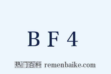BF4是什么意思的图片